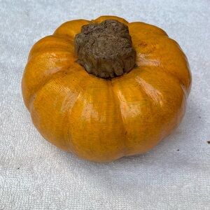 small cement pumpkin- Halloween- high quality- Campania?